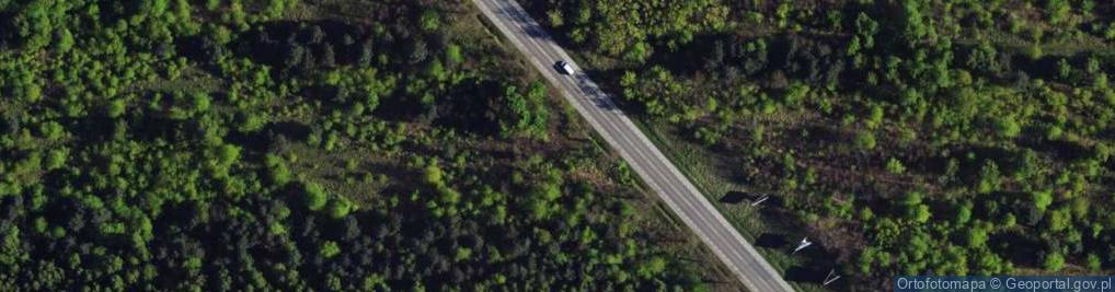 Zdjęcie satelitarne św. Rocha ul.