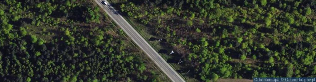 Zdjęcie satelitarne św. Rocha ul.