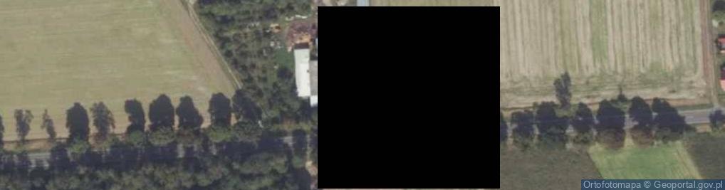 Zdjęcie satelitarne Świętomierz ul.