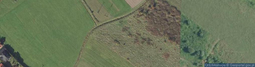 Zdjęcie satelitarne Świniarsko ul.