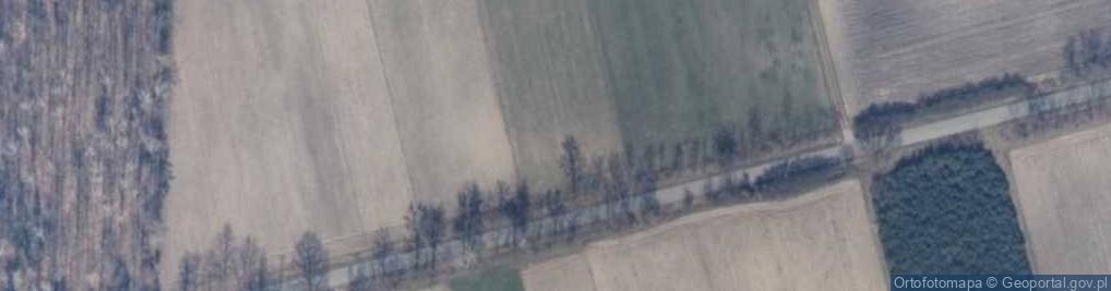 Zdjęcie satelitarne Sycyna-Kolonia ul.