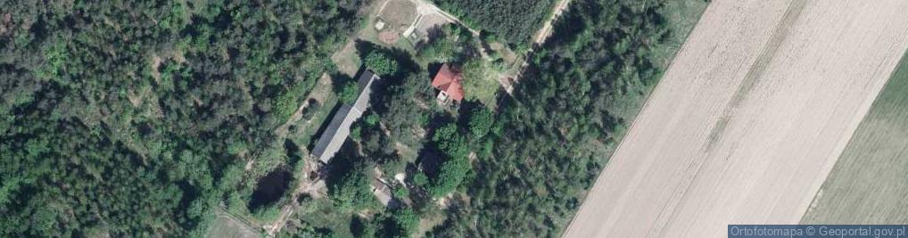 Zdjęcie satelitarne Sycyna ul.
