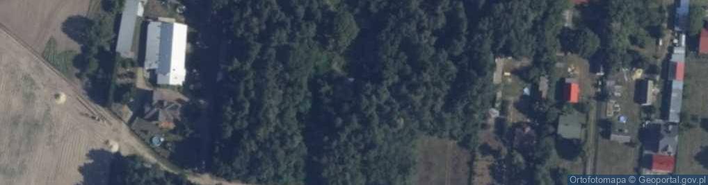 Zdjęcie satelitarne Szkolna ul.