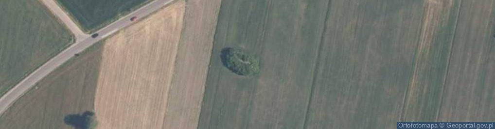Zdjęcie satelitarne Szczukwińska ul.