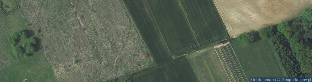 Zdjęcie satelitarne Szałwiowa ul.