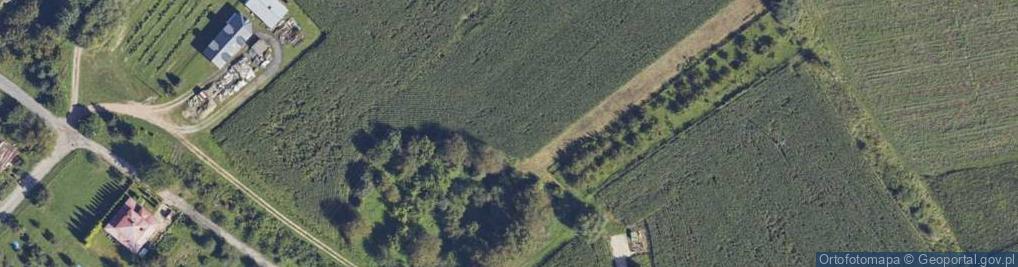 Zdjęcie satelitarne Szańcowa ul.