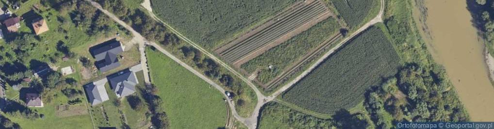 Zdjęcie satelitarne Szańcowa ul.