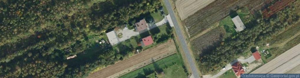 Zdjęcie satelitarne Szkolna ul.