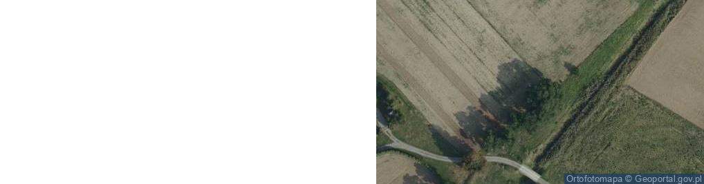 Zdjęcie satelitarne Szafranów ul.
