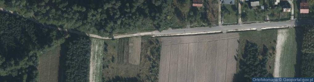 Zdjęcie satelitarne Szalenik-Kolonia ul.
