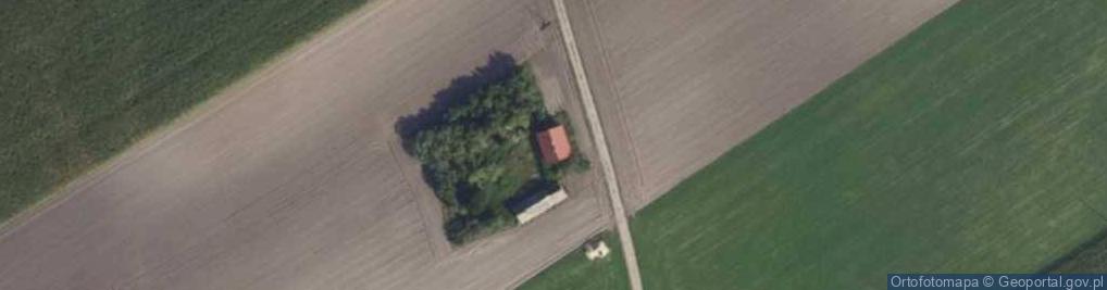 Zdjęcie satelitarne Szamarzewo ul.