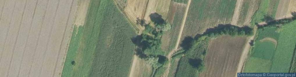 Zdjęcie satelitarne Szczytniki-Kolonia ul.