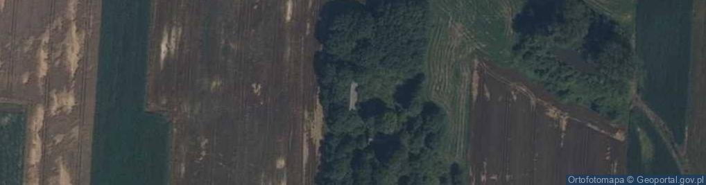 Zdjęcie satelitarne Szkopy ul.
