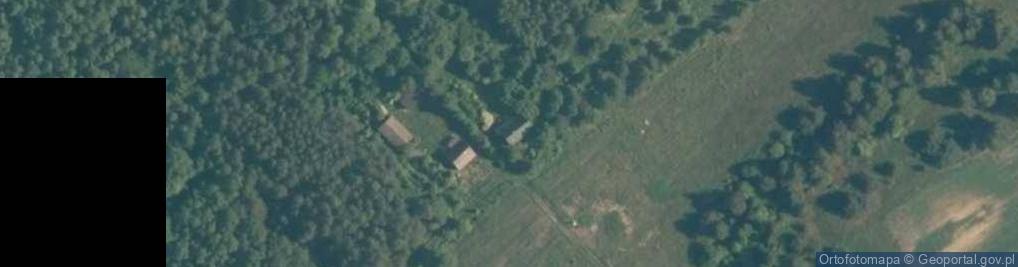 Zdjęcie satelitarne Szkucin ul.
