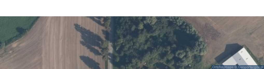 Zdjęcie satelitarne Szpitalna Wieś ul.