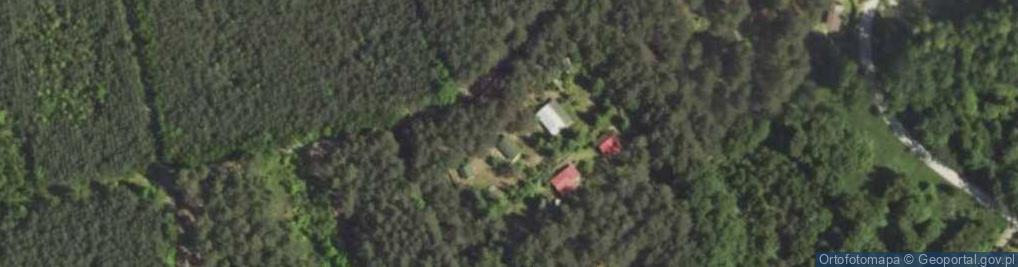 Zdjęcie satelitarne Szyszki ul.