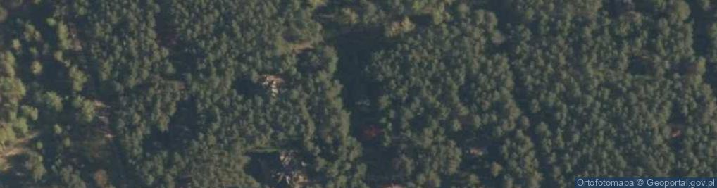 Zdjęcie satelitarne Szyszkowa ul.