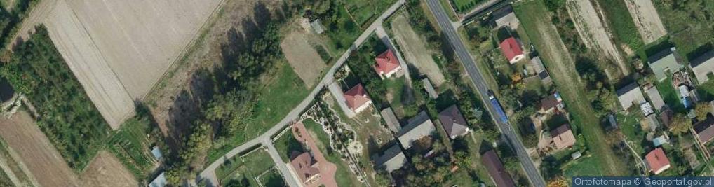 Zdjęcie satelitarne Szczepanie ul.