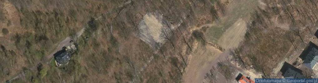 Zdjęcie satelitarne Szymańskiego Leona ul.
