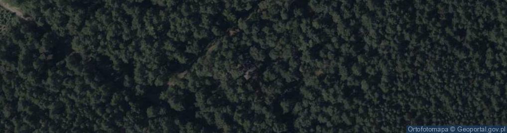 Zdjęcie satelitarne Tadeusza ul.