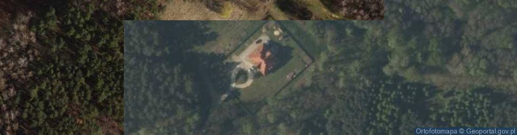 Zdjęcie satelitarne Tadzin ul.