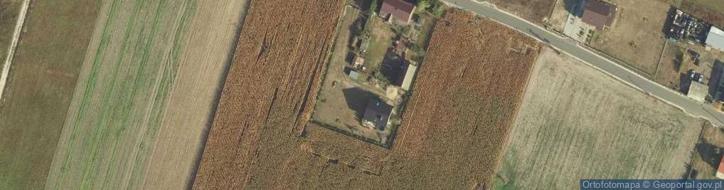 Zdjęcie satelitarne Tarkowo Dolne ul.
