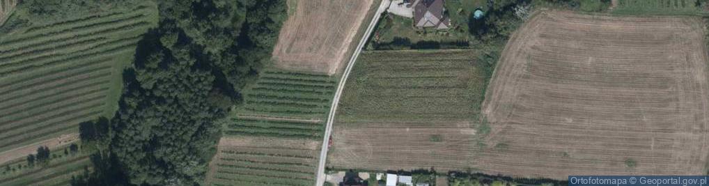 Zdjęcie satelitarne Tarnowskiego Stanisława ul.