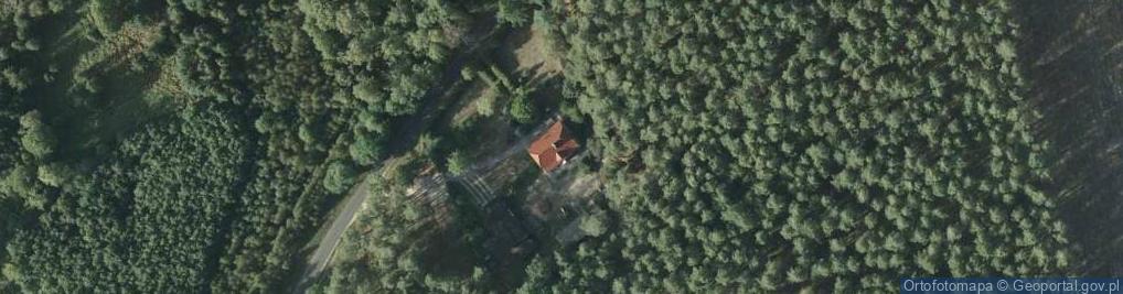 Zdjęcie satelitarne Taszewo ul.