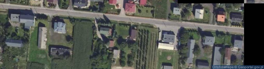 Zdjęcie satelitarne Tłokinia Wielka ul.