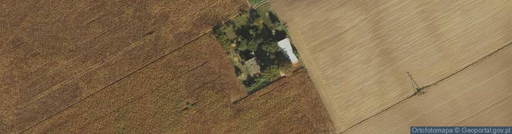 Zdjęcie satelitarne Tłuchówek ul.