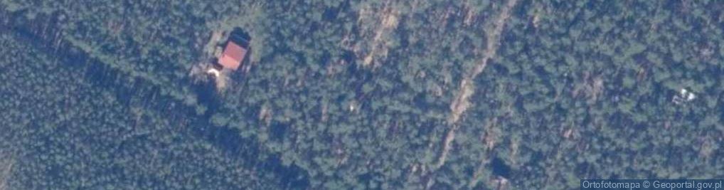 Zdjęcie satelitarne Tomcia Palucha ul.