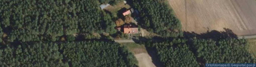 Zdjęcie satelitarne Toczeń ul.