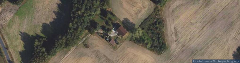Zdjęcie satelitarne Tomaszewo ul.