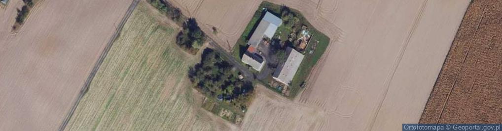 Zdjęcie satelitarne Tomaszewo ul.