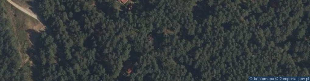 Zdjęcie satelitarne Topolina ul.
