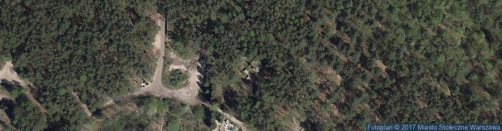 Zdjęcie satelitarne Torfowa ul.