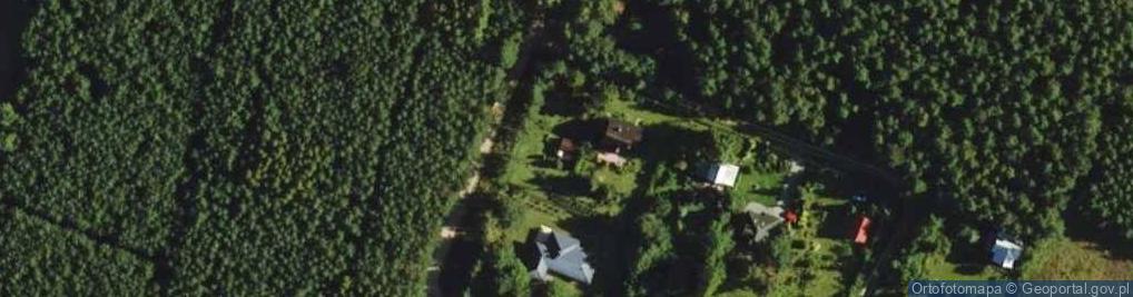 Zdjęcie satelitarne Trzech Brzóz ul.
