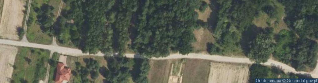 Zdjęcie satelitarne Trakt Królewski ul.