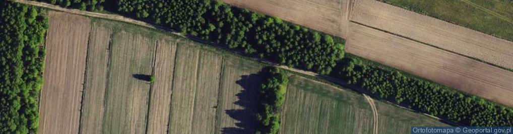 Zdjęcie satelitarne Traugutta Romualda, gen. ul.