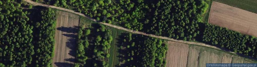 Zdjęcie satelitarne Traugutta Romualda, gen. ul.