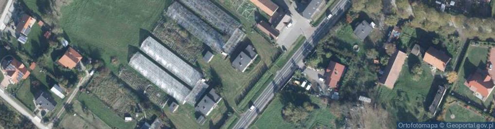 Zdjęcie satelitarne Trzebnicka ul.