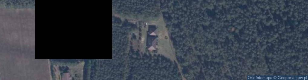 Zdjęcie satelitarne Trzebielsk ul.
