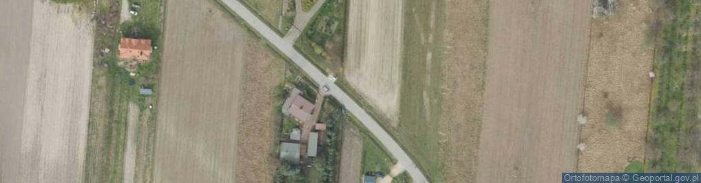 Zdjęcie satelitarne Trzcińska ul.