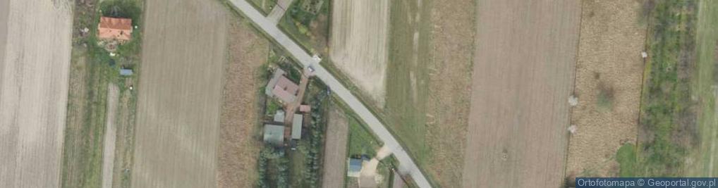 Zdjęcie satelitarne Trzcińska ul.