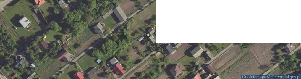 Zdjęcie satelitarne Trawniki ul.