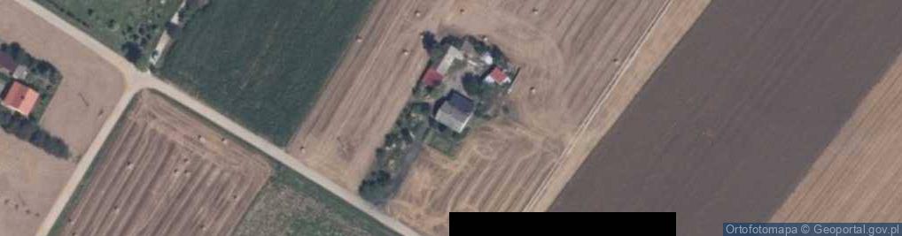 Zdjęcie satelitarne Trębin ul.