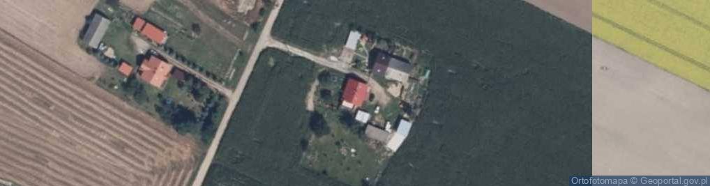 Zdjęcie satelitarne Trębin ul.