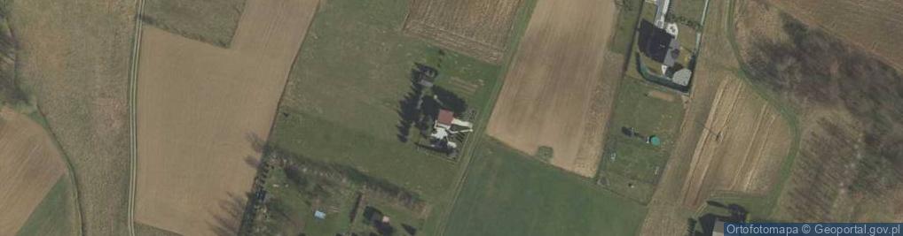 Zdjęcie satelitarne Trzciana ul.