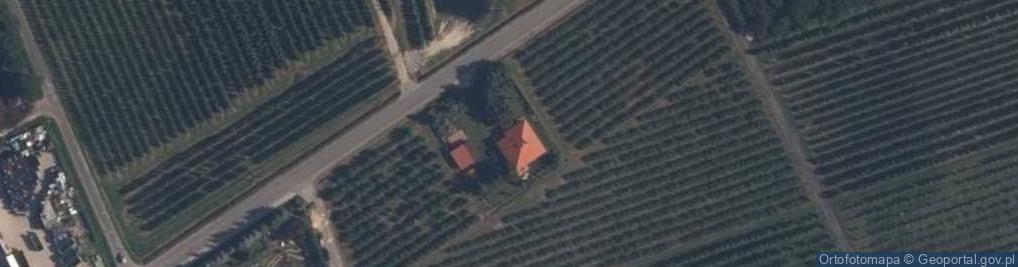Zdjęcie satelitarne Trzcianka ul.