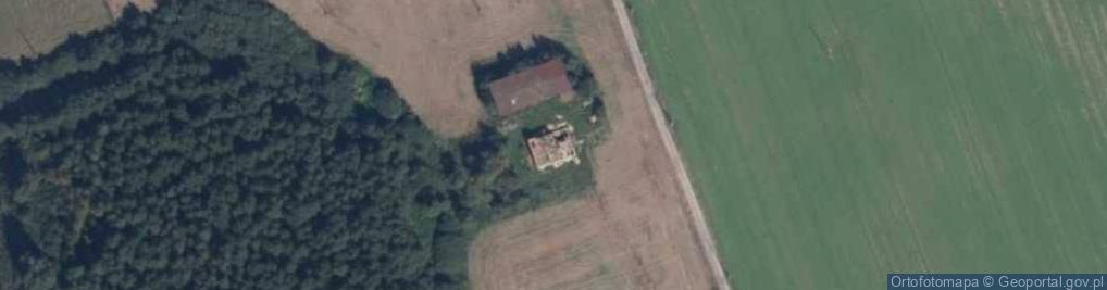Zdjęcie satelitarne Trzciano ul.